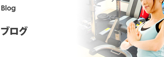 ブログテスト